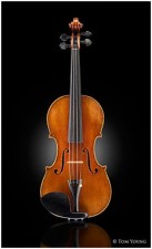 Violin