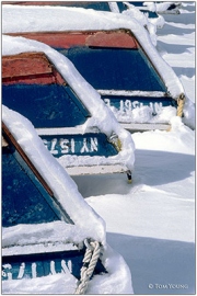 Hibernation
